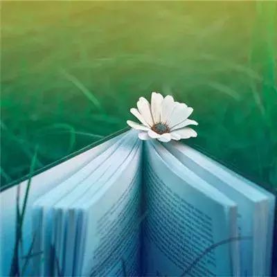 天天幻灵最新版本(暂未上线)v2.1.15 安卓版