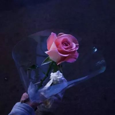 腾讯雷霆战机助手软件下载
