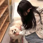 暗黑起源破解版下载